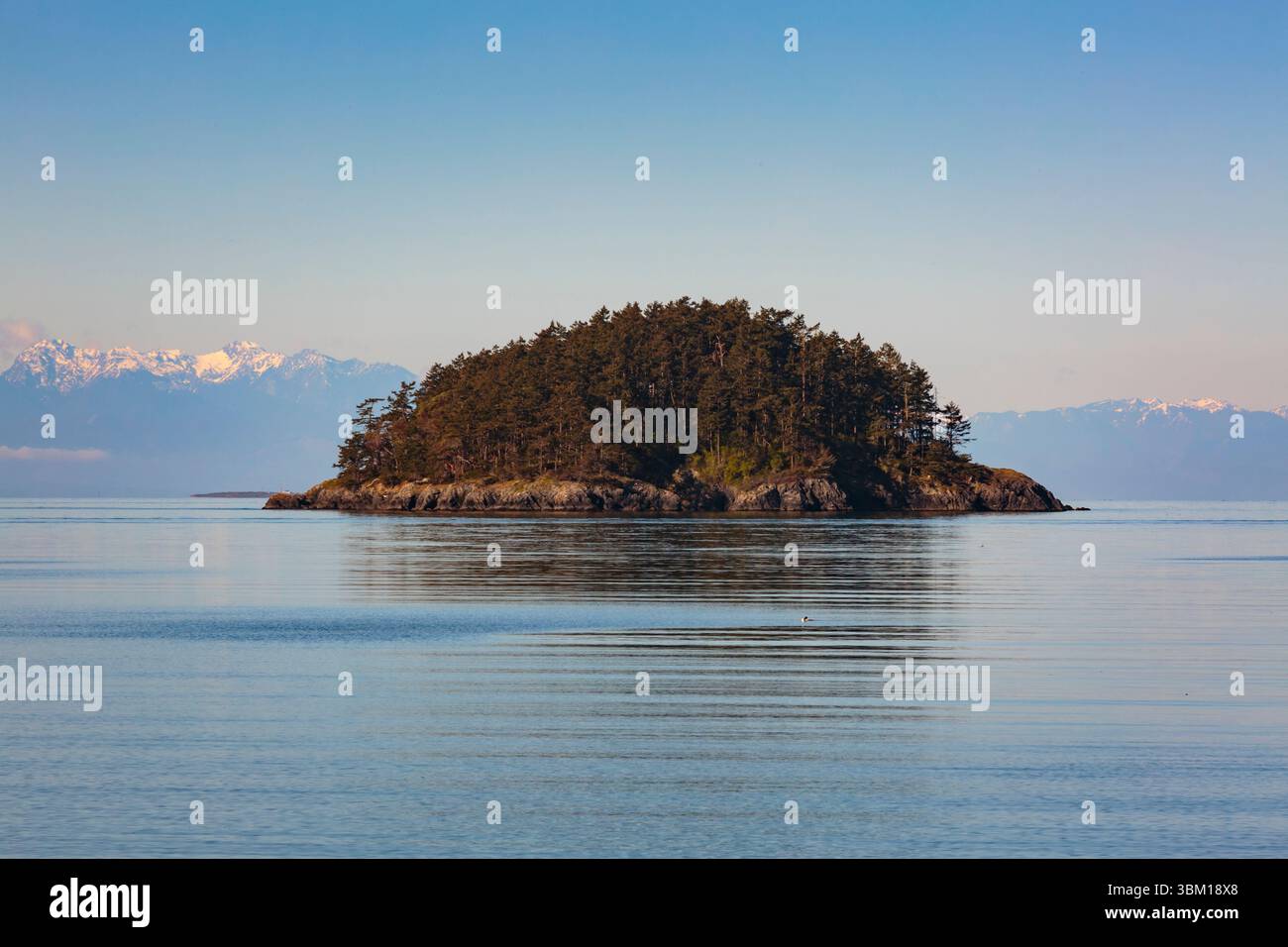 Deception Island, Bowman Bay, Deception Pass State Park, Washington State, USA. Stockfoto