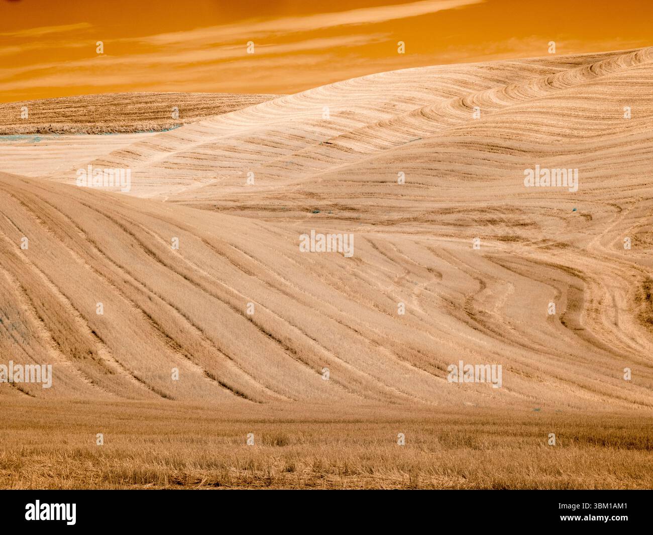 USA, Washington State, Palouse. Infrarot von Feldmustern Stockfoto