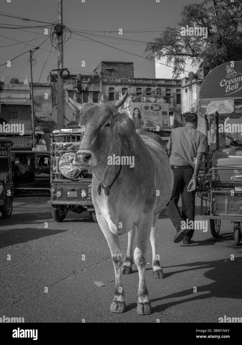 Indien, Neu-Delhi, 25. Juni 2025. Straßenverkäufer, der Bananen aus einem Wagen in Neu-Delhi verkauft. Stockfoto