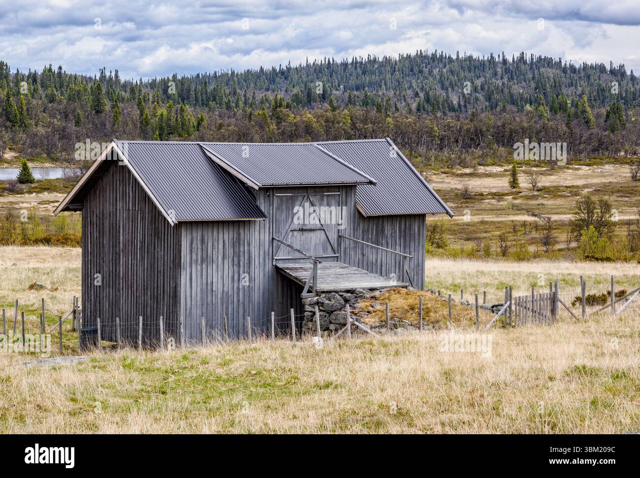 Norwegische Scheune mit traditioneller Zugangsrampe grau lackiert und mit Rundes Schiefer-Ziegeldach bei Lenningen in Mittelnorwegen Stockfoto
