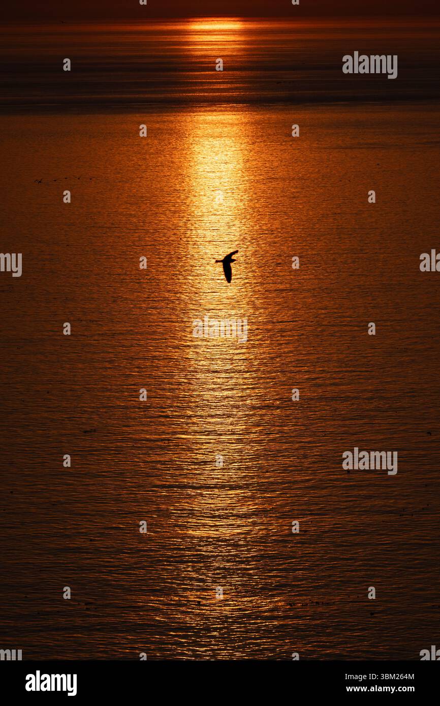 Sonnenaufgang über dem Meer mit Wolken und Mustern. Stockfoto