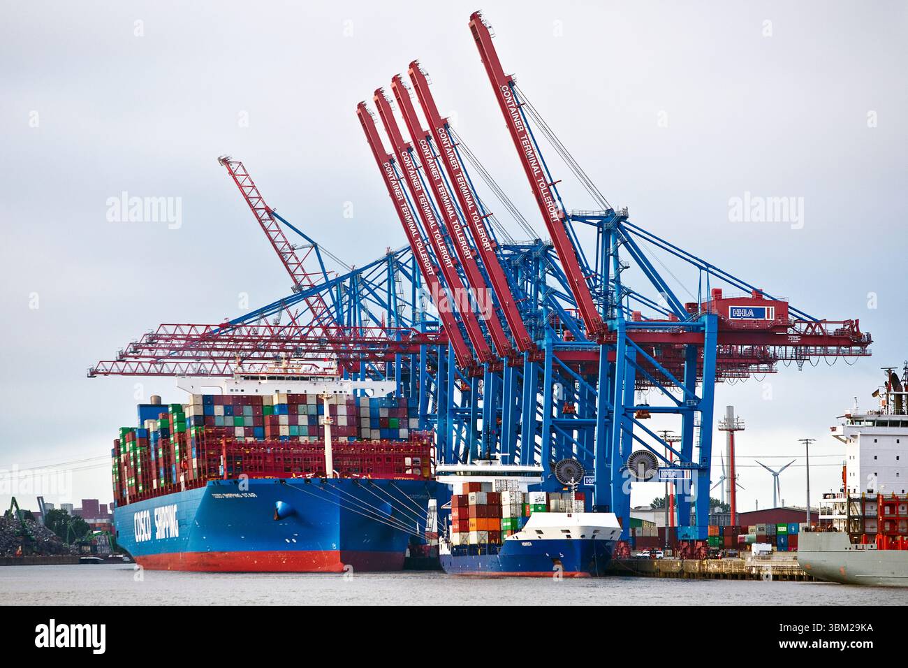 Containerschiffe am Containerterminal Tollerort im Hamburger Hafen Stockfoto