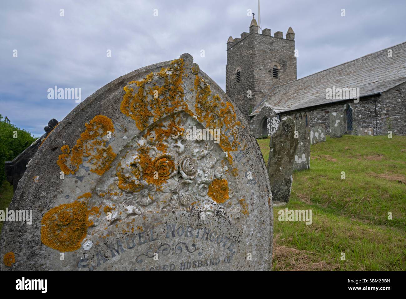 Flechten auf Tombstone. (Orange = Xanthoria parietina) Forrabury, Boscastle, Cornwall, Vereinigtes Königreich. Stockfoto