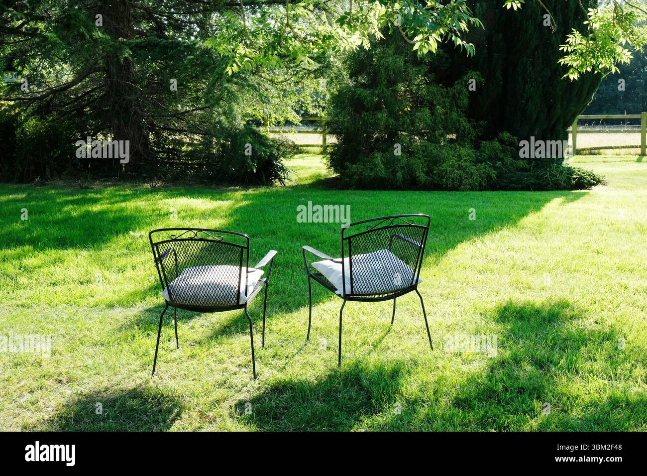 Zwei leere Stühle in einem von der Abendsonne beleuchteten Garten Stockfoto