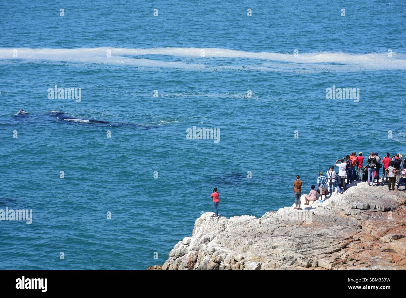 Menschen beobachten Südliche Glattwale von Felsvorsprüngen in Hermanus, Westkap Stockfoto