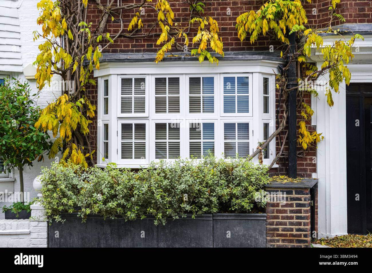 Weißes Fenster in traditionellem Haus, London England Großbritannien Stockfoto