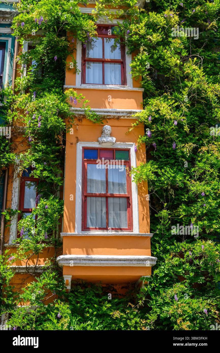 Farbenfrohe Häuser in Istanbul Stockfoto