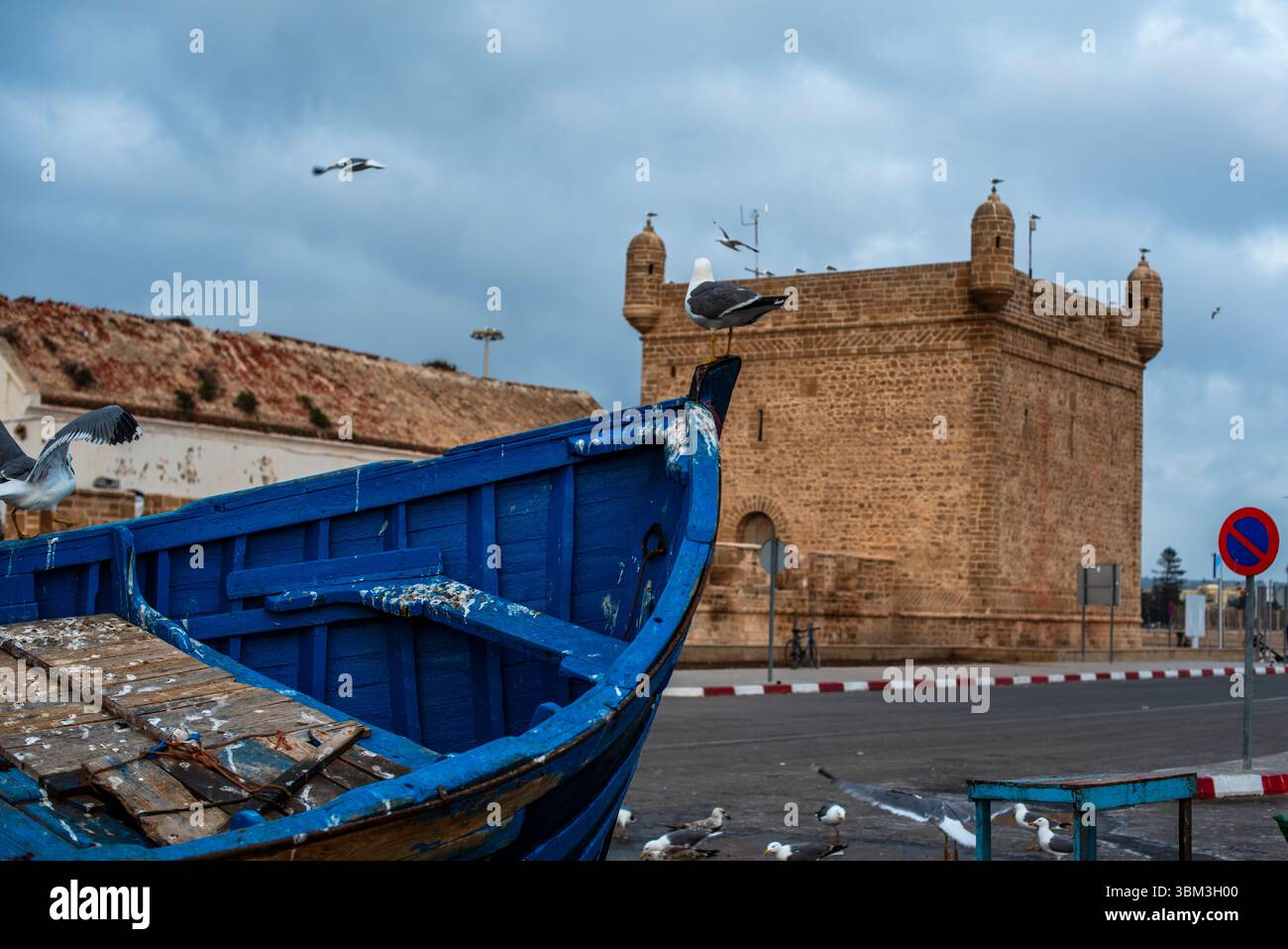 Blaues Fischerboot mit Möwe am Bug und Schloss von Essaouira Hafen Marokko Stockfoto