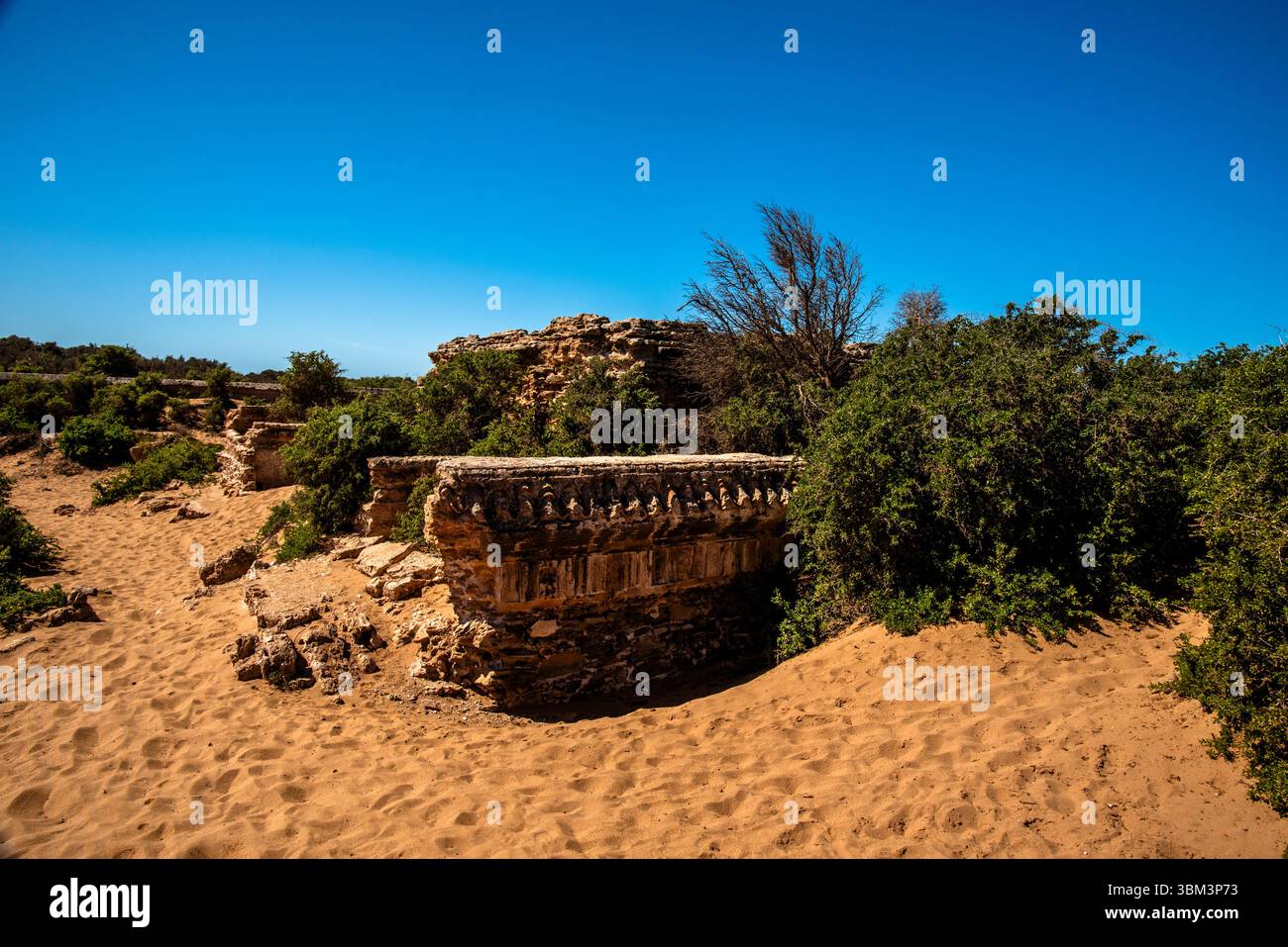 Ruinen einer alten Wohnung zwischen den einsamen Dünen der Strände mit blauem Himmel und grünen Bäumen in Essaouira in Marokko Stockfoto