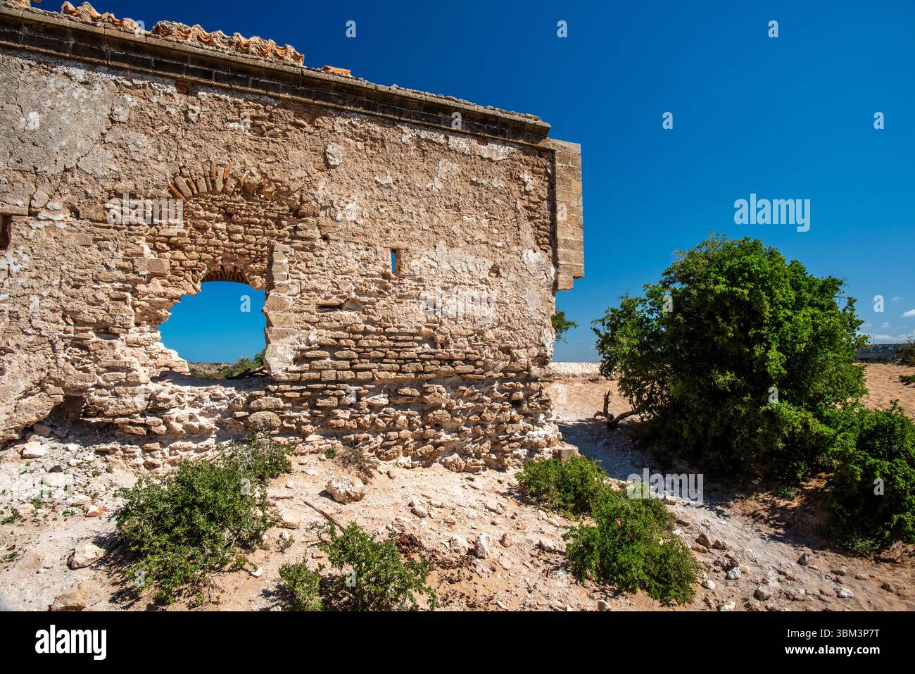 Ruinen einer alten Wohnung zwischen den einsamen Dünen der Strände mit blauem Himmel und grünen Bäumen in Essaouira in Marokko Stockfoto