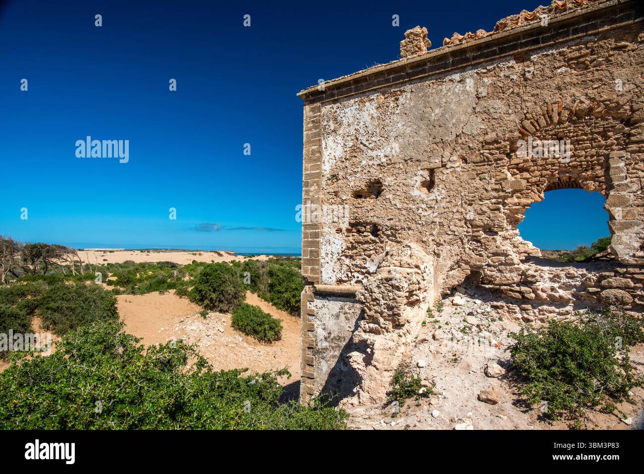 Ruinen einer alten Wohnung zwischen den einsamen Dünen der Strände mit blauem Himmel und grünen Bäumen in Essaouira in Marokko Stockfoto