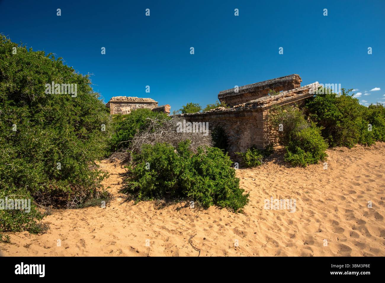 Ruinen einer alten Wohnung zwischen den einsamen Dünen der Strände mit blauem Himmel und grünen Bäumen in Essaouira in Marokko Stockfoto