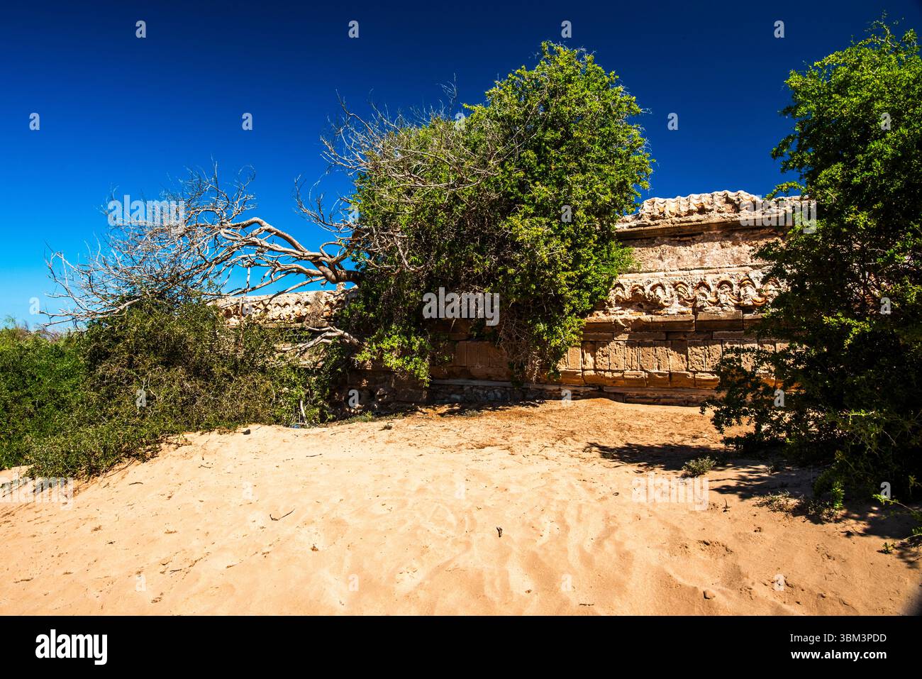 Ruinen einer alten Wohnung zwischen den einsamen Dünen der Strände mit blauem Himmel und grünen Bäumen in Essaouira in Marokko Stockfoto