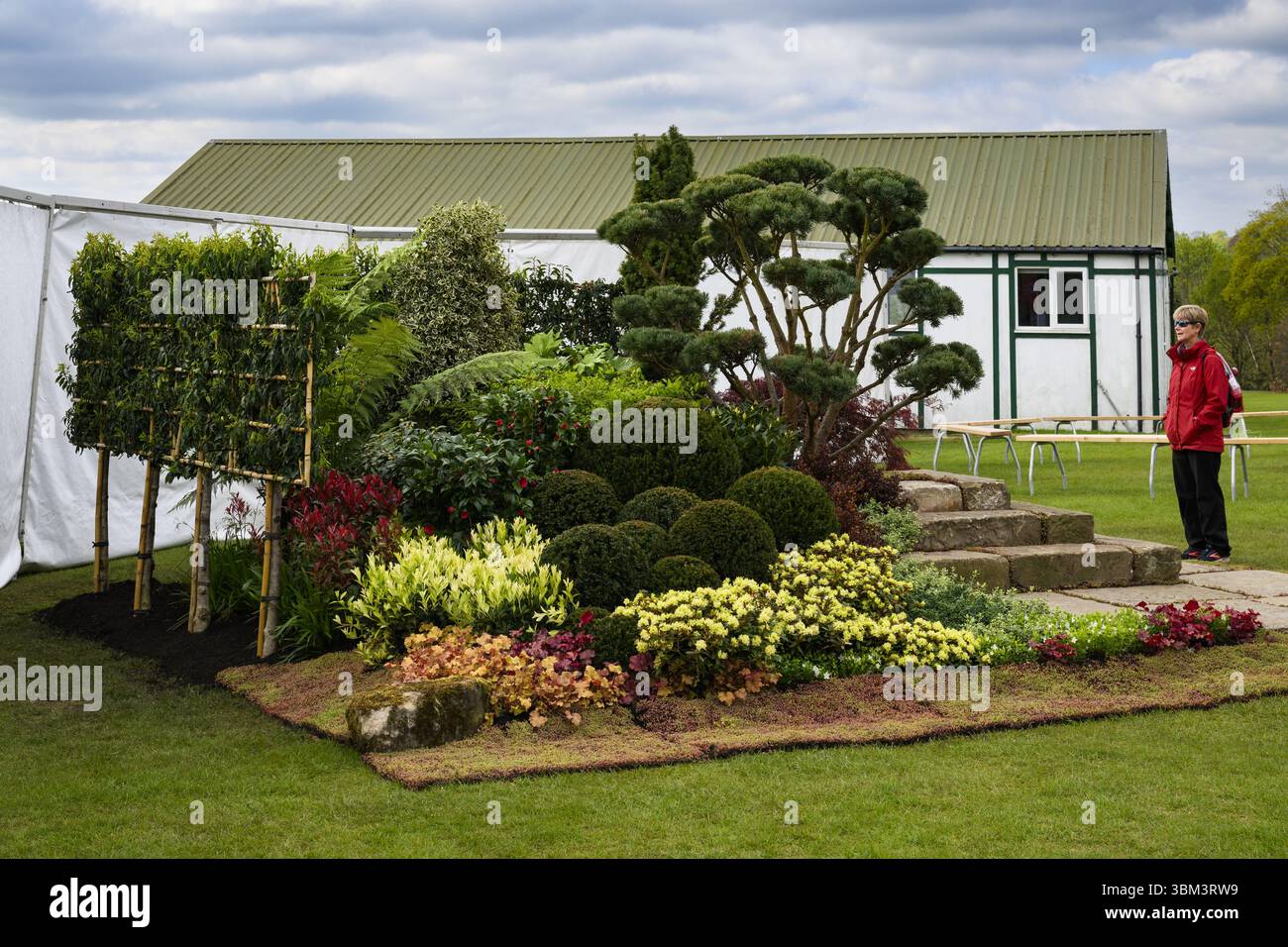 Devil in the D-Tail Garden (Pflanzen Sträucher, ornamentale Strukturen, abgeschnittene Evergreens) - Harrogate Spring Flower Show 2025, Yorkshire England UK Stockfoto
