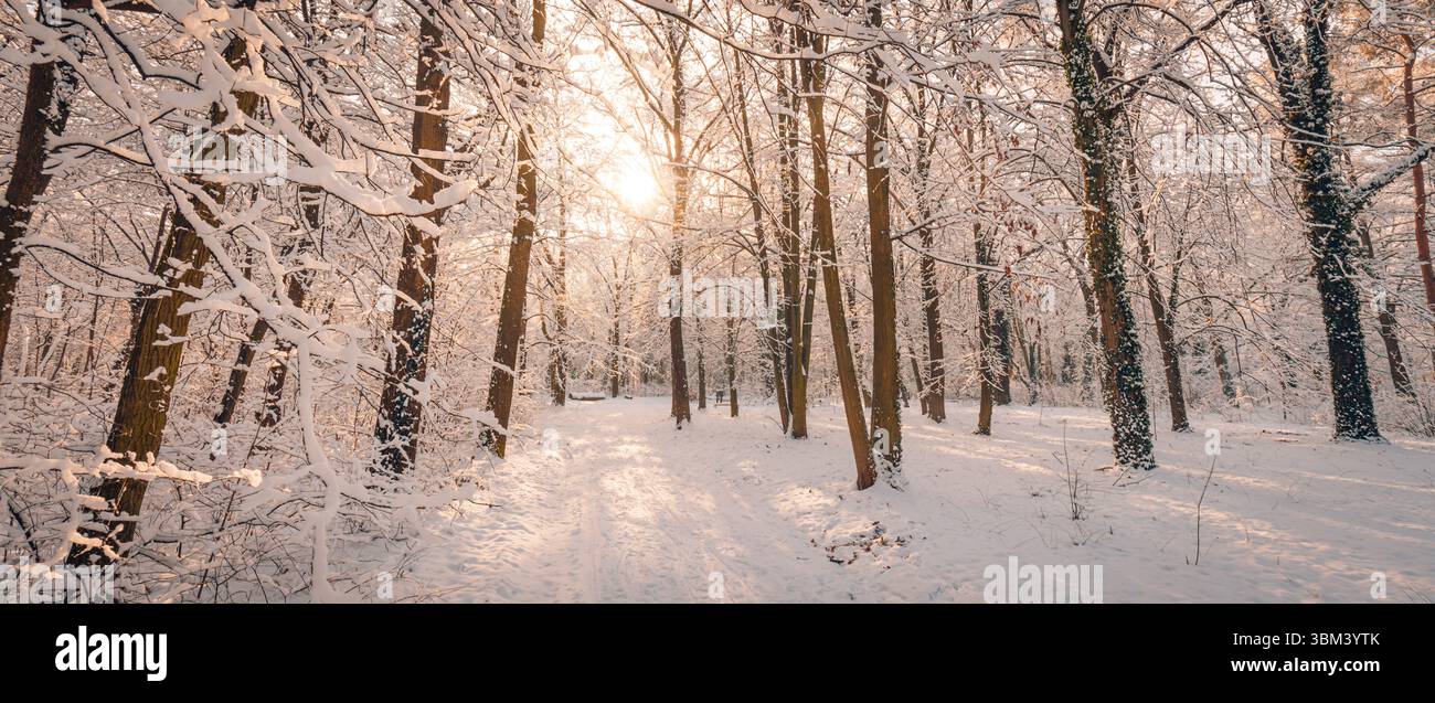 Majestätisches Winterpanorama mit warmem Sonnenlicht, schneebedecktem Waldweg Pfad ruhige Freiluft-Erholungsszene inspirierender künstlerischer saisonaler Hintergrund Stockfoto