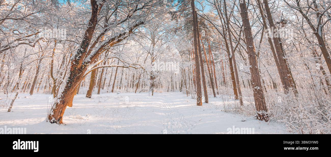 Majestätisches Winterpanorama mit warmem Sonnenlicht, schneebedecktem Waldweg Pfad ruhige Freiluft-Erholungsszene inspirierender künstlerischer saisonaler Hintergrund Stockfoto