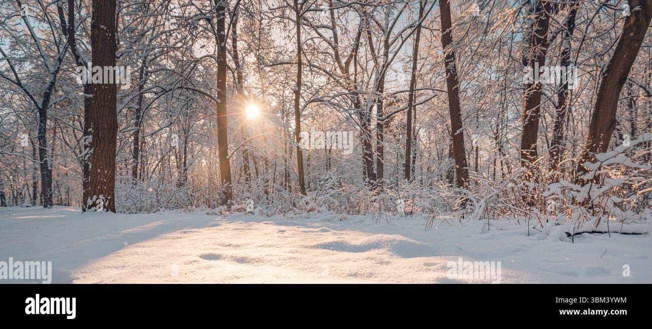 Majestätisches Winterpanorama mit warmem Sonnenlicht, schneebedecktem Waldweg Pfad ruhige Freiluft-Erholungsszene inspirierender künstlerischer saisonaler Hintergrund Stockfoto