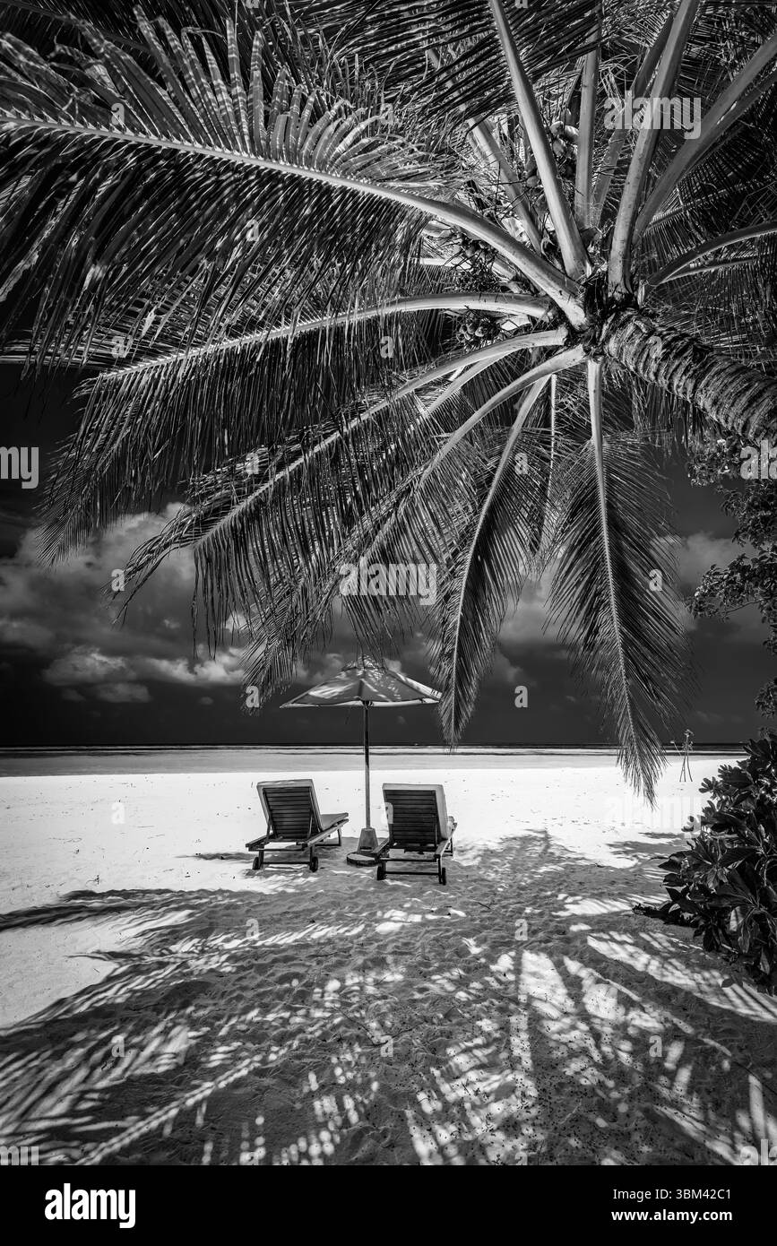 Herrliches abstraktes romantisches Paar am Strand, Liegestühle und Sonnenschirm im Sommer, schwarzer und weißer künstlerischer Hintergrund mit malerischer Natur, dramatische Wandkunst Stockfoto