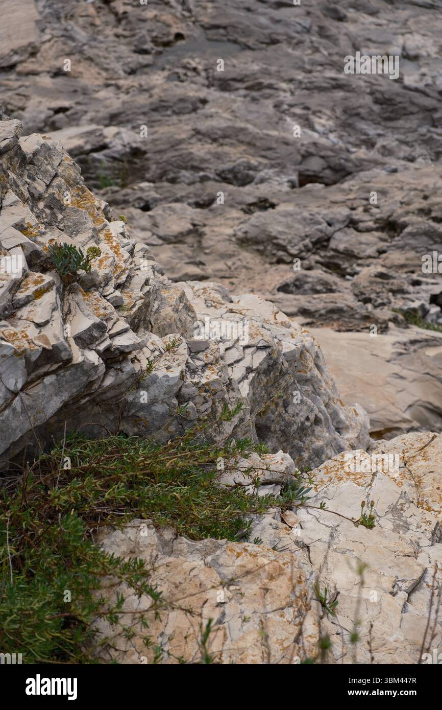 Nahaufnahme von Kalksteinfelsen an der Mittelmeerküste mit kleinen, in Rissen wachsenden, harten Pflanzen. Die strukturierte Oberfläche, sichtbare Erosion. Stockfoto