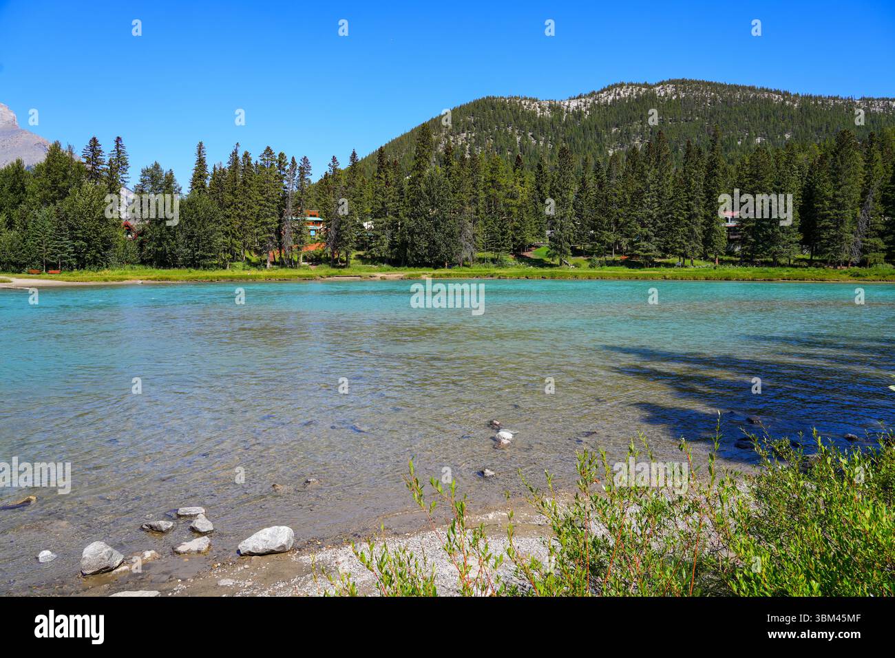 Ufer des Bow River, vom Bow Falls Trail aus gesehen, im Banff National Park, Alberta, Kanada Stockfoto