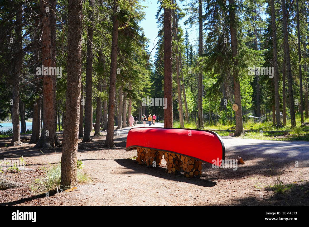 „The Bear-Tage“-Kunstwerk von Jason Carter auf dem Art in Nature Trail im Banff National Park, Alberta, Kanada Stockfoto