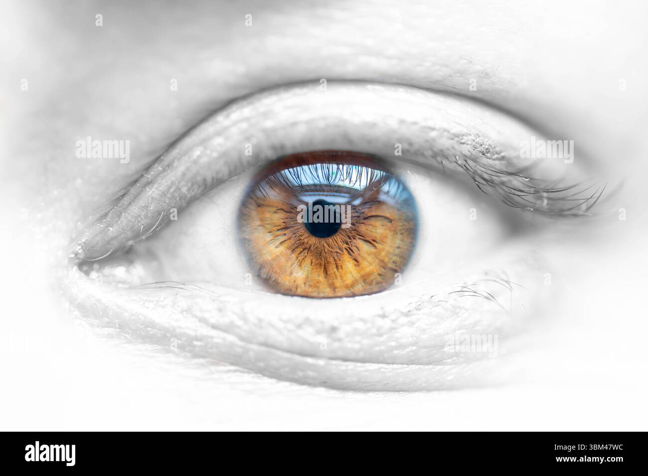 Beschreibung: Braunes weibliches Auge auf entsättierter Gesichtshaut. Hochdetaillierte anatomische Struktur der menschlichen Iris. Bei Tageslicht aufgenommen. Stockfoto