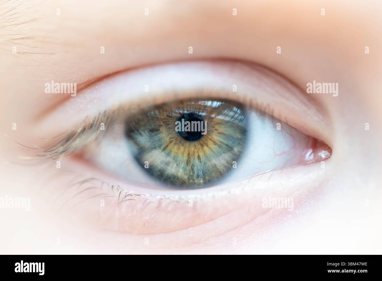 Beschreibung: Makroaufnahme eines blau-grün-braunen Kinderauges mit Reflexionen im Fenster. Hochdetaillierte anatomische Struktur der menschlichen Iris. Nehmen Stockfoto