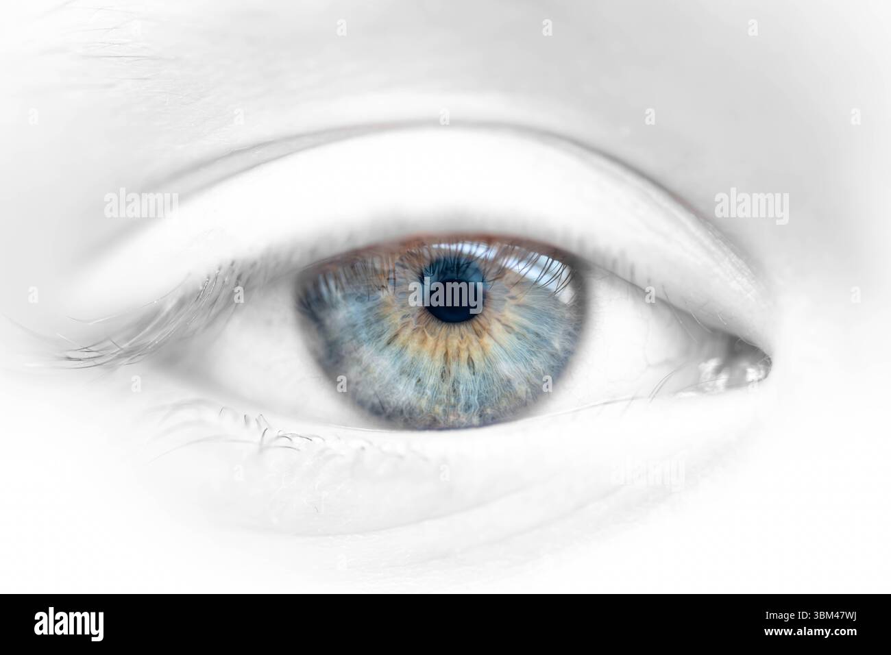 Beschreibung: Blaues grünes braunes weibliches Auge auf entsättierter Gesichtshaut. Hochdetaillierte anatomische Struktur der menschlichen Iris. Bei Tageslicht aufgenommen. Stockfoto