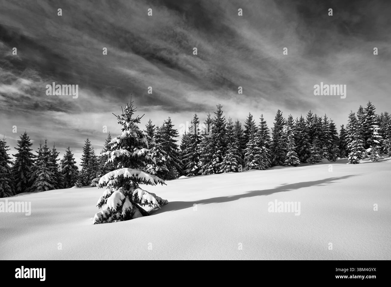 Bild von den Anfinnseter Sommerhöfen der Totenaasen Hügel, Norwegen, im Winter. Stockfoto