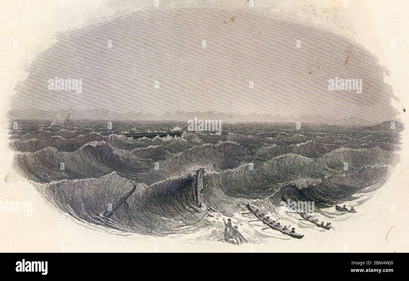 Den Pfau verlassen (Originalscan). Stockfoto