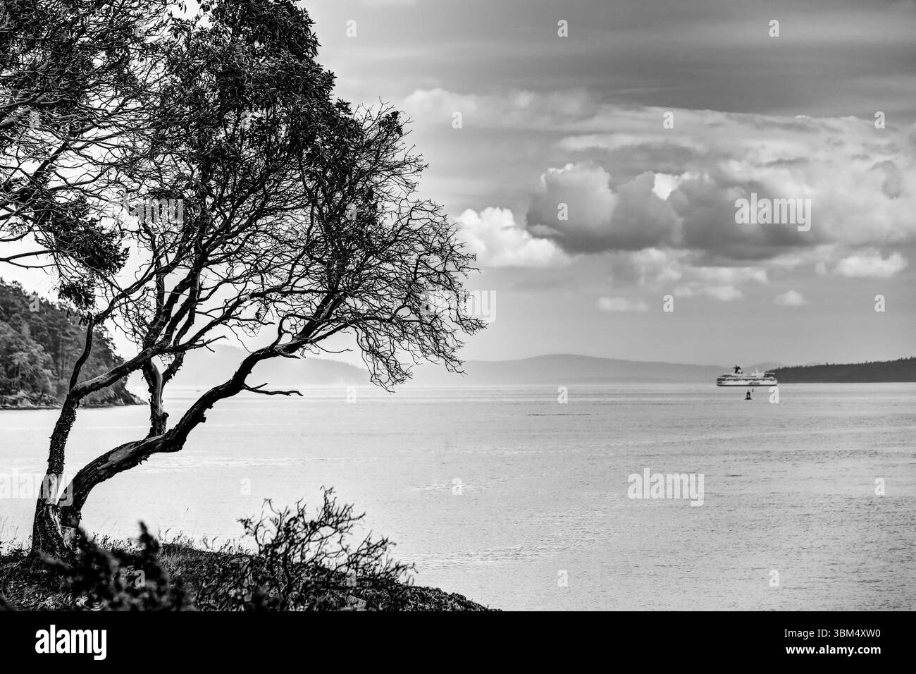Schwarz-weiße Landschaft an der Küste einer kleinen Insel im Gulf Islands Archipel in British Columbia Stockfoto