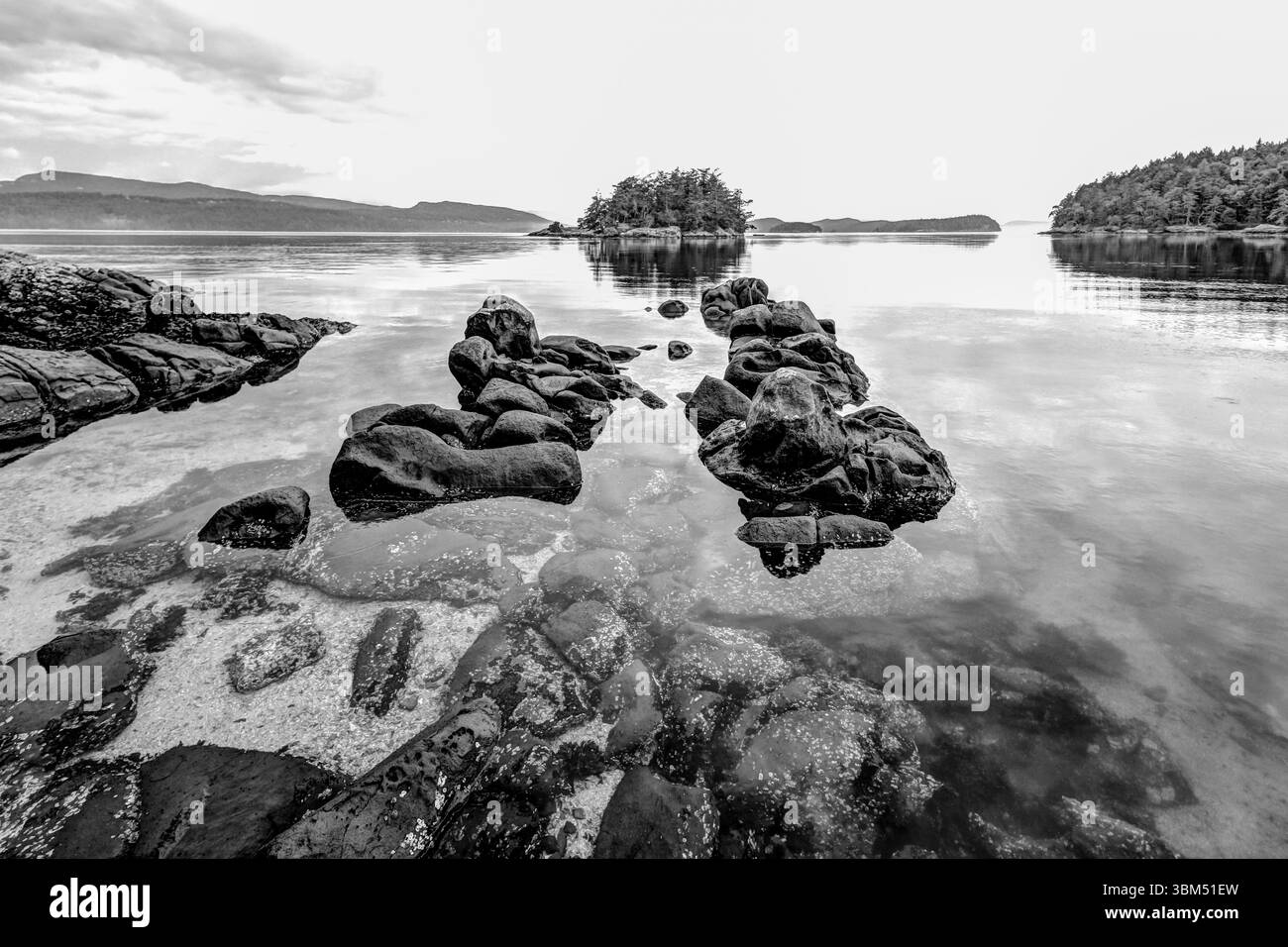 Schwarz-weiße Landschaft an der Küste einer kleinen Insel im Gulf Islands Archipel in British Columbia Stockfoto
