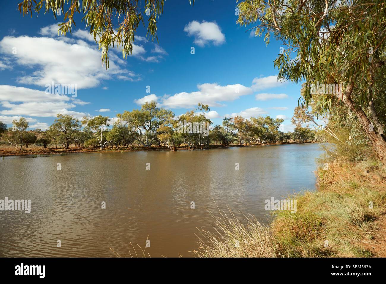 Eringa Waterhole, Mt Dare Road, Australien. Stockfoto