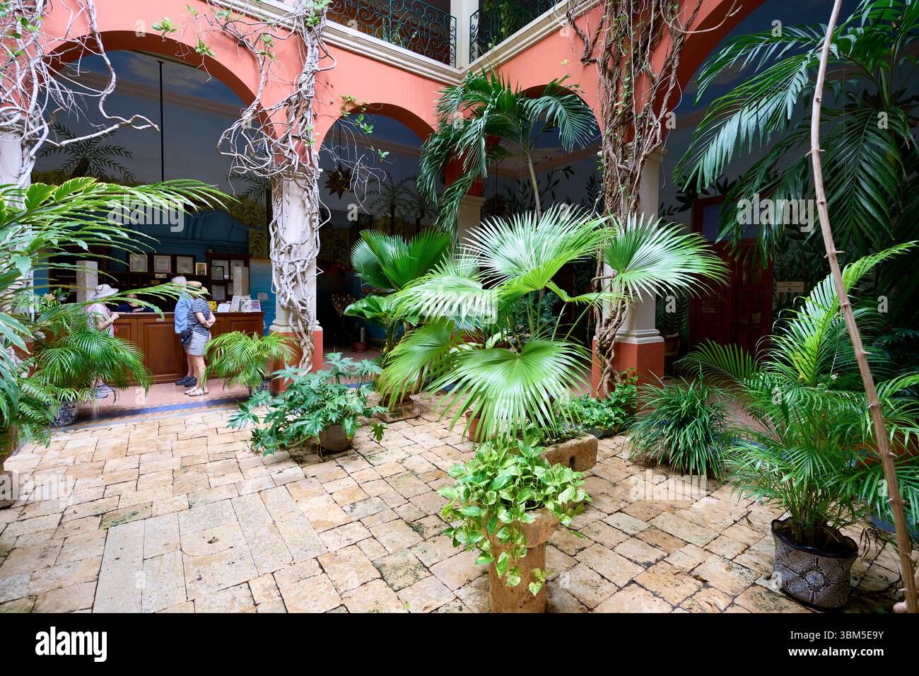 Mexiko, Merida. Der ruhige Innenhof des Hotel Casa San Angel ist umgeben von tropischen Pflanzen und farbenfrohen Bögen und bietet einen ruhigen Rückzugsort Stockfoto