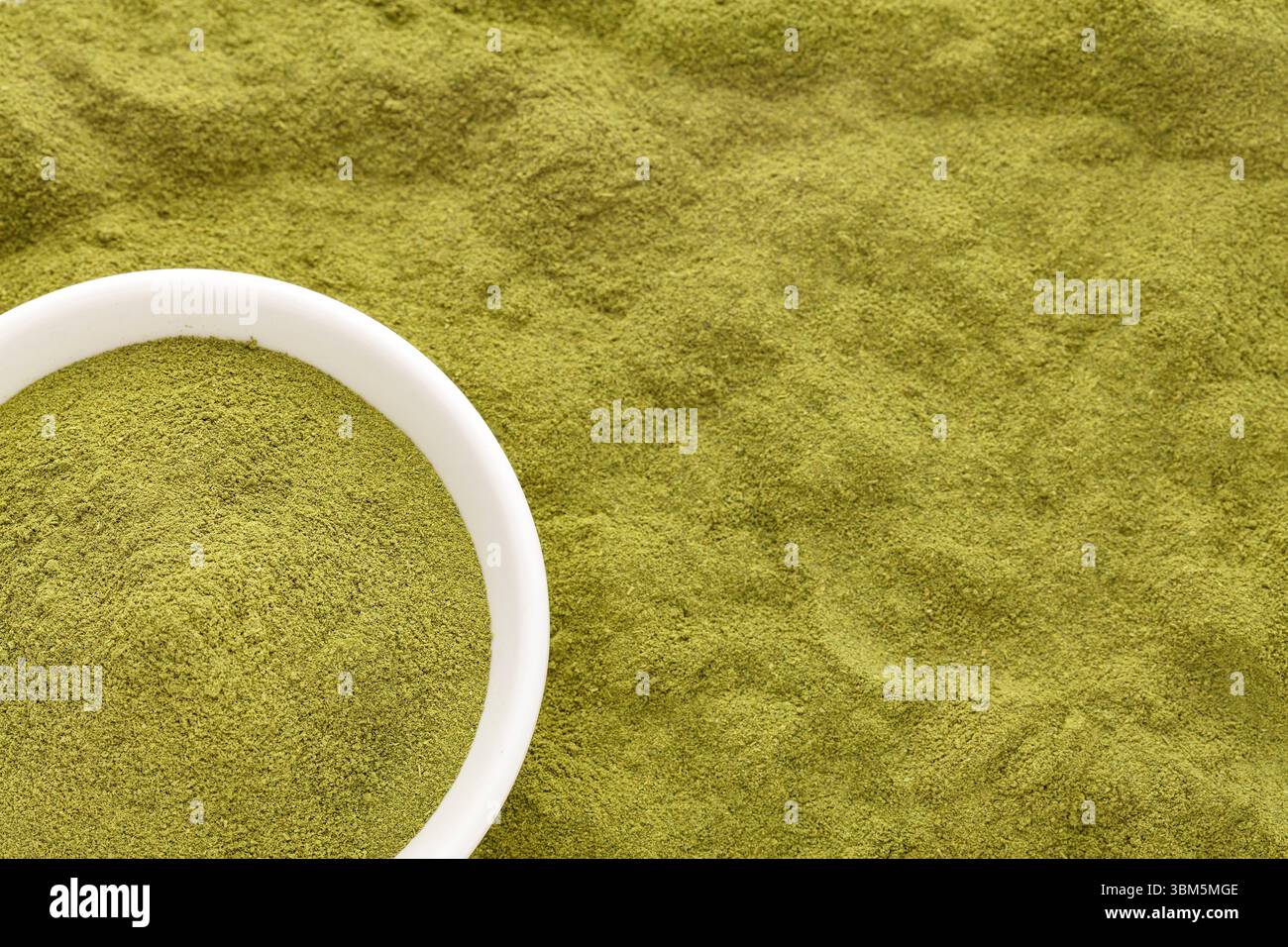 Moringa oleifera – grünes und natürliches Moringa-Pulver in einer Schüssel Stockfoto