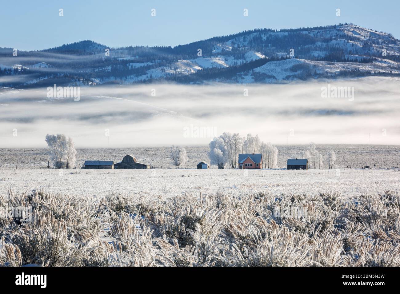 USA, Wyoming, Jackson. Grand Teton National Park, Nebel brennt hinter dem John Moulton Homestead entlang der historischen Mormon Row ab. (Nur Für Redaktionelle Zwecke) Stockfoto