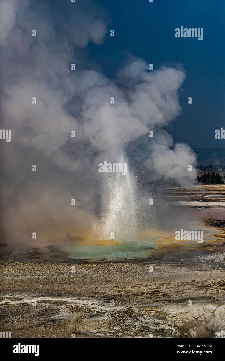 Geysire spucken kochendes Wasser und Dampf in die Luft. Stockfoto
