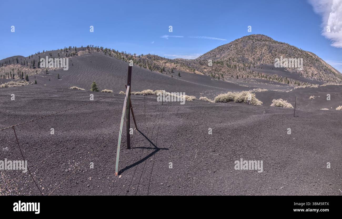 Der Grenzzaun zwischen dem Coconino National Forest und dem Sunset Crater National Monument of Arizona. O'Leary Peak ist auf der rechten Seite. Stockfoto