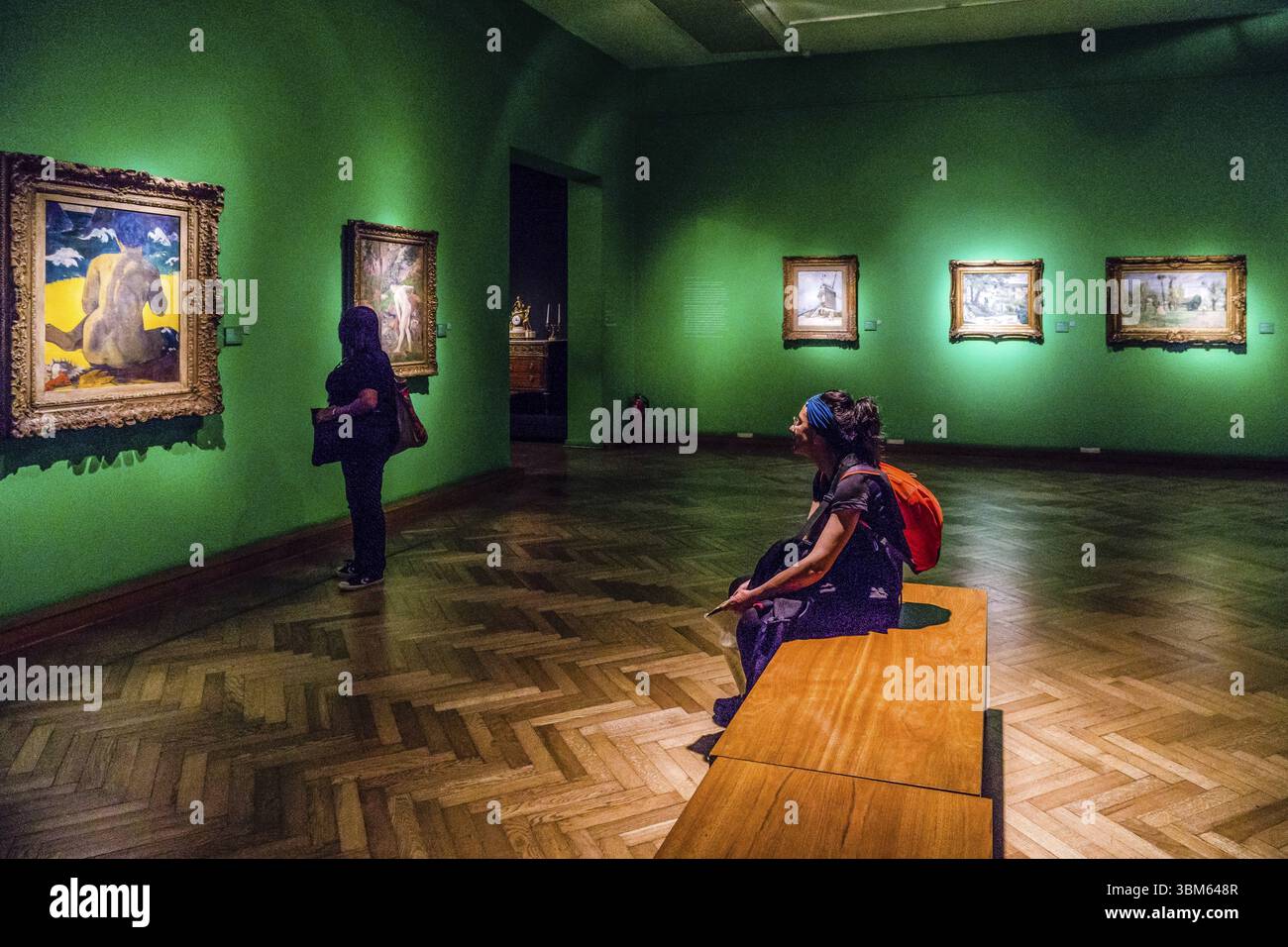 Museo Nacional de Bellas Artes (MNBA), Buenos Aires, republica Argentina, cono sur, Südamerika Stockfoto