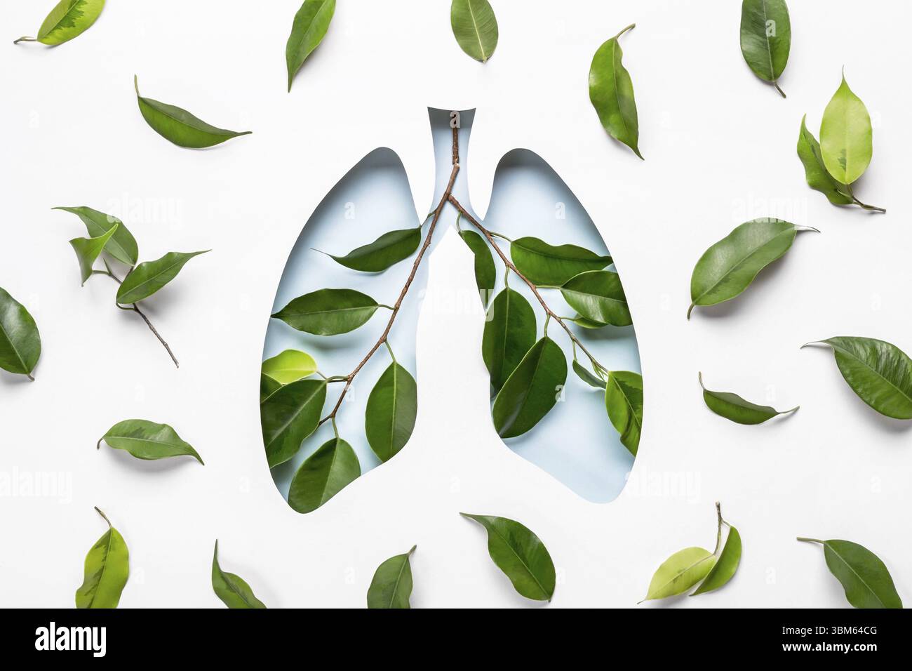 Blue Hole Lungen und grüne Zweige als Symbol gesunder Lungen. Welttuberkulosetag oder Weltlungstag Konzept. Minimale Papierkunst Stockfoto