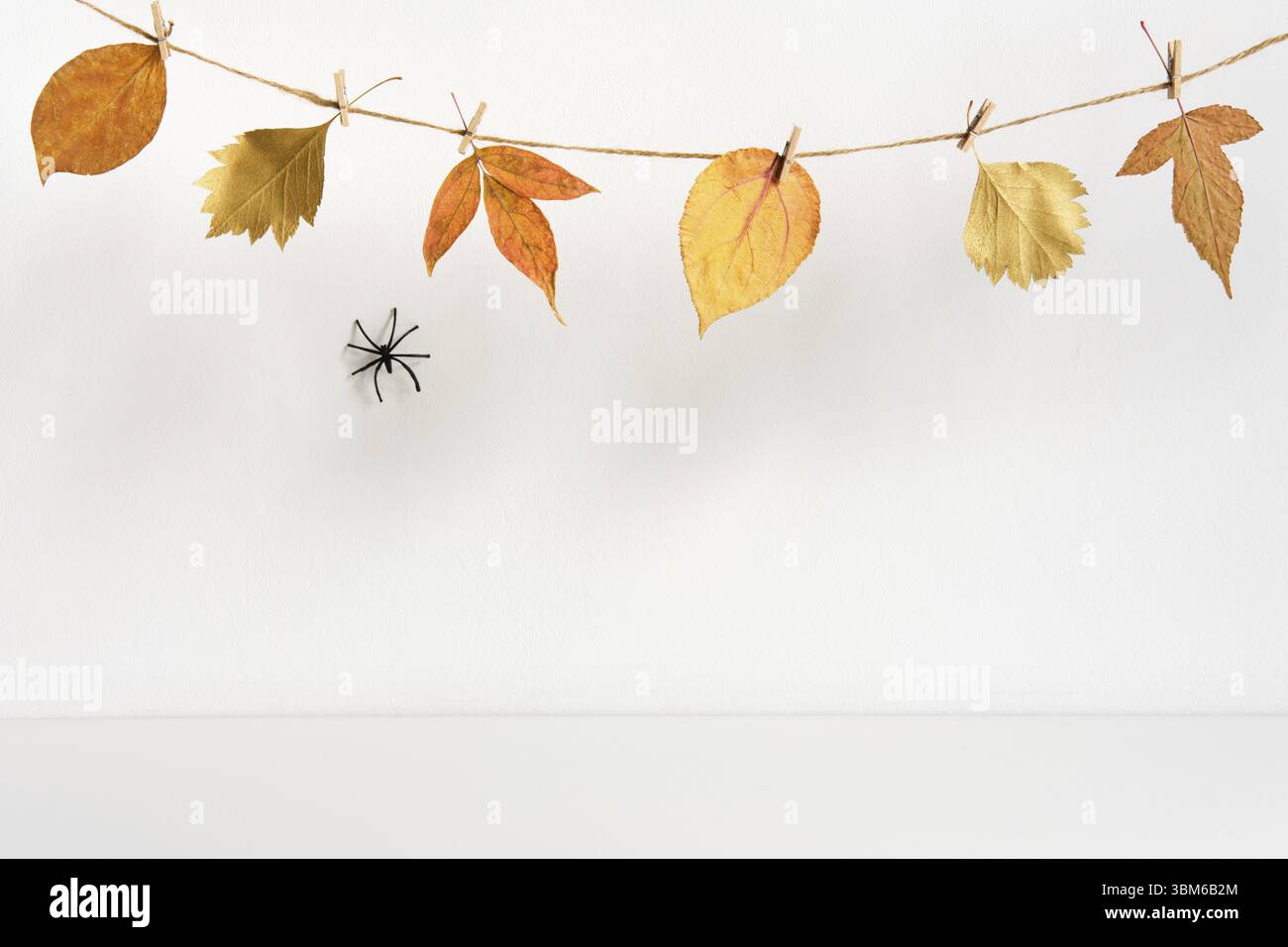 Halloween-Kulisse mit Spinne und Blumengirlande an der Tischwand Hintergrund Stockfoto Halloween-Kulisse mit Spinne und Blumengirlande an der Tischwand Hintergrund Stockfoto