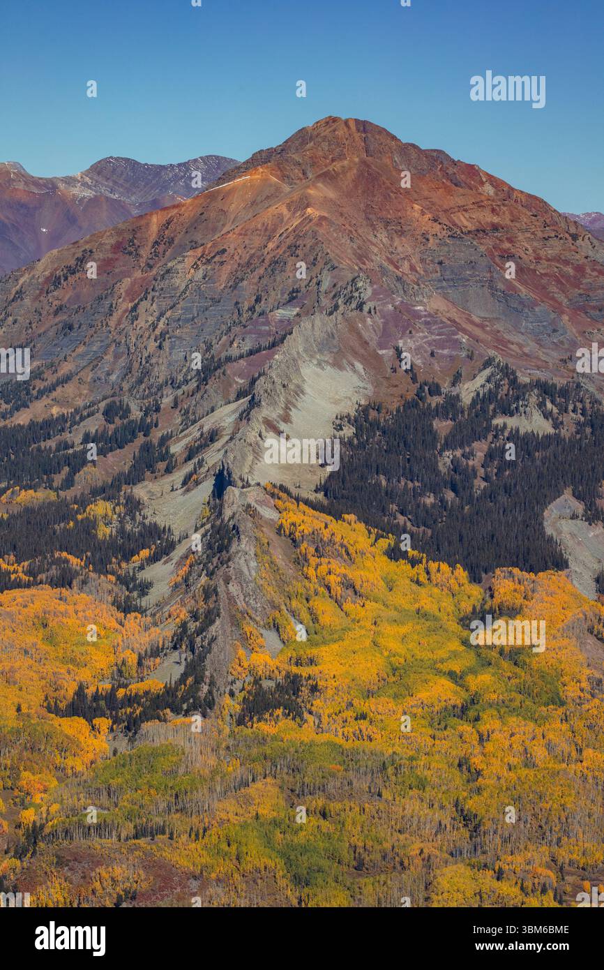 Der Ruby Peak mit seinem zerklüfteten Deich und dem 13er Mt Owen erhebt sich über einem Meer aus farbenfrohen Herbstaspen. Diese farbenfrohen Berge befinden sich im Elk ran Stockfoto