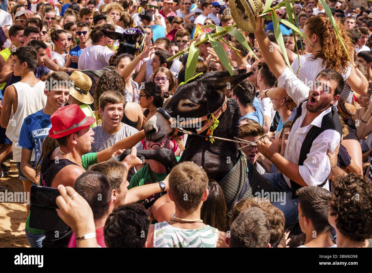 Parodie auf das menorquinische Pferdefest mit Eseln, Jaleo d'ASEs, Sant Bartomeu Festival, Ferreries, Menorca, Balearen, Spanien, Europa Stockfoto