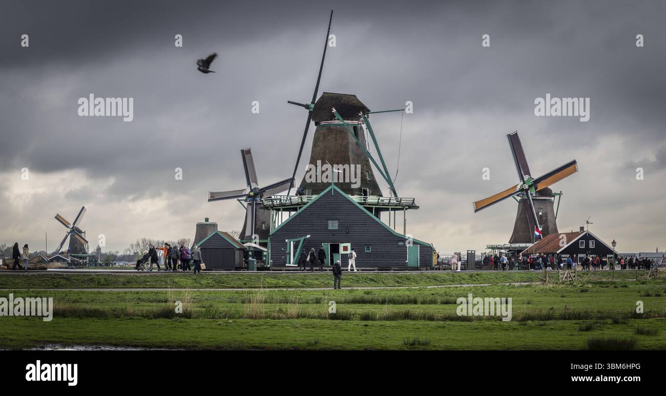 Zaanse Schans, alte traditionelle Mühlen, Gemeinde Zaanstad, Europäische Route des industriellen Erbes, Niederlande Stockfoto