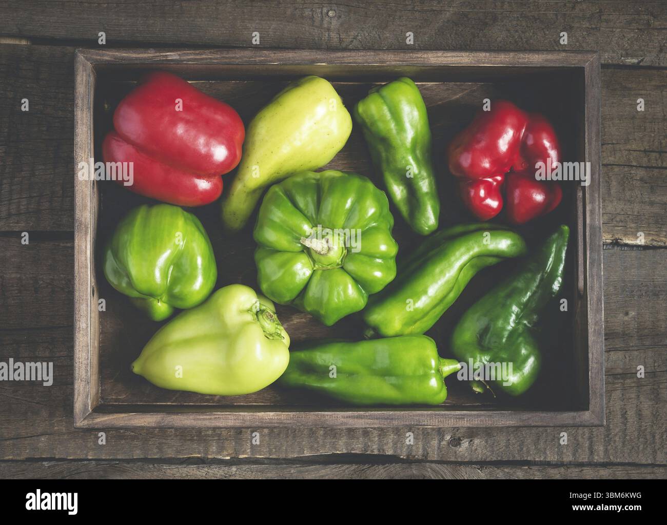 Set aus roten und grünen Paprika in verschiedenen Formen. Volles Gemüseblech Stockfoto