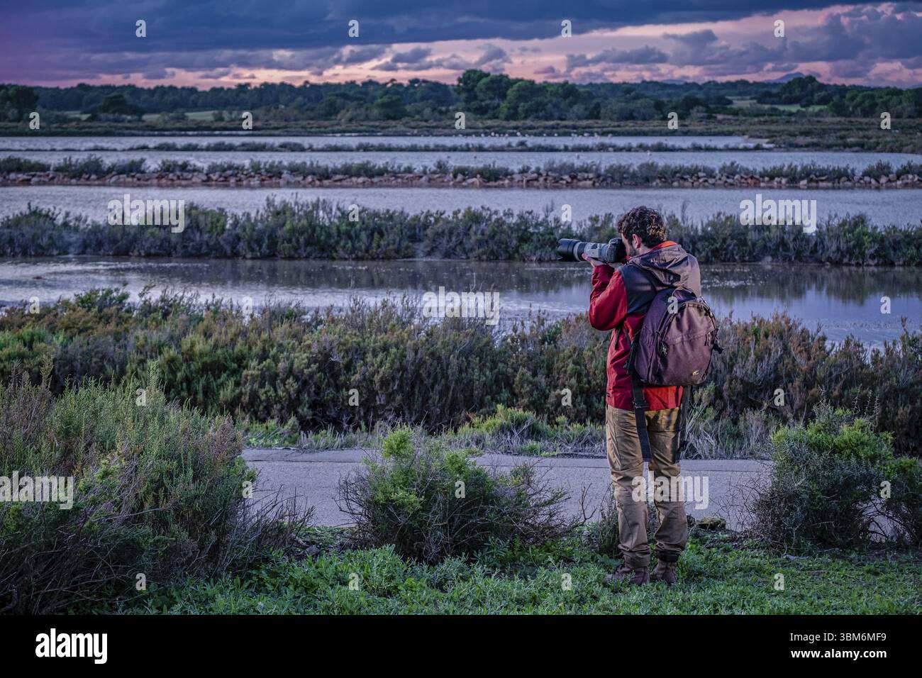 Fotograf in Salobrar de Campos, es Trenc-Salobrar de Campos maritim-terrestrischer Naturpark, Mallorca, Balearen, Spanien, Europa Stockfoto