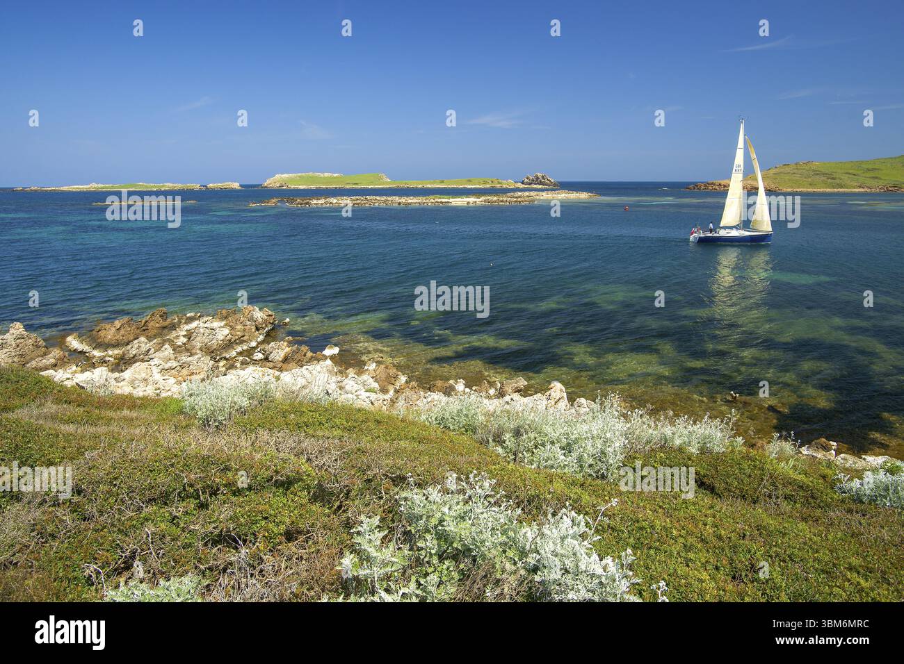 Segelboot bei der Ankunft im Hafen von Addaia. Menorca. Biosphaerenreservat. Balearische Inseln. Spanien Stockfoto