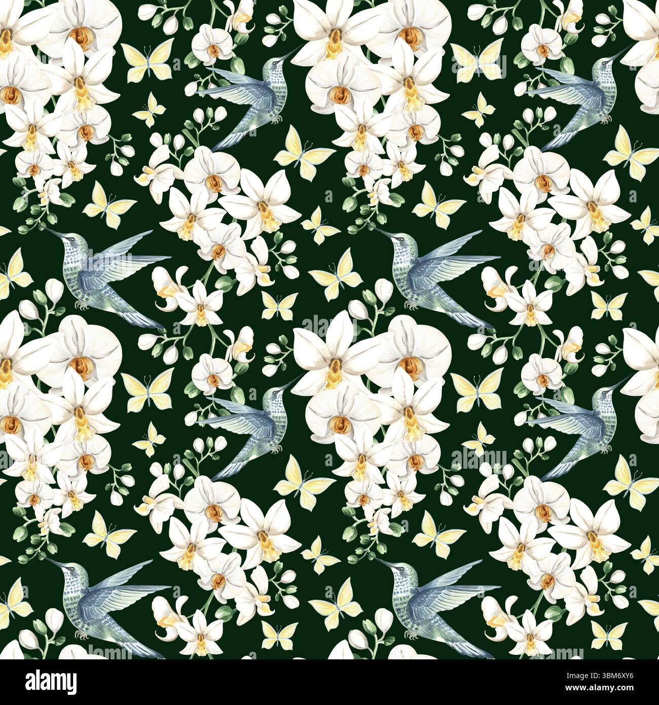 Fliegender Kolibri mit weißen Orchideenblüten und Schmetterlingen Aquarellillustration. Handgezeichnetes nahtloses Muster mit tropischer phalaenopsis und Vogel Stockfoto