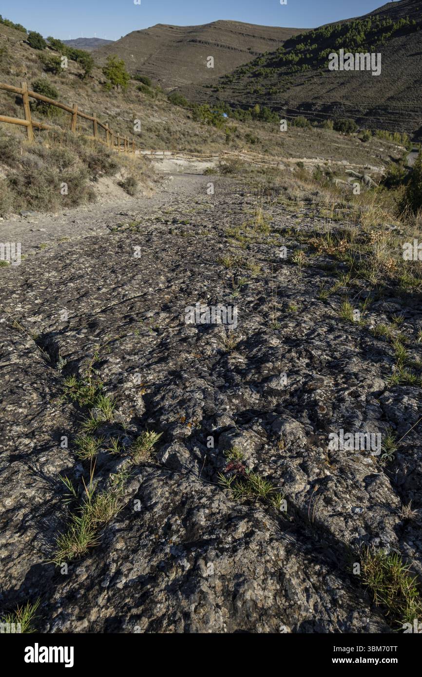 Dinosaurierspuren, Valdecevillo Site, Enciso, La Rioja, Spanien, Europa Stockfoto