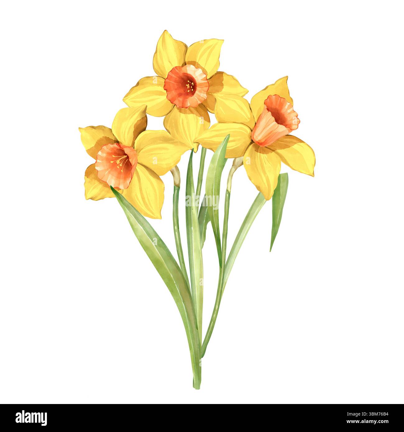 Gemalter blumenstrauß -Fotos und -Bildmaterial in hoher Auflösung – Alamy